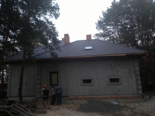 IMG 3597